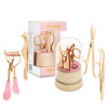 Icona Lashes 4in1 False Eyelash Tool Kit DIY Lash Extension Kit with Tweezer Curler Scissors Applicator 24K Gold Plated