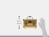 SHANY Chic Makeup Train Case Cosmetic Box Portable Makeup Case Cosmetics Beauty Organizer Jewelry storage with Locks Mul