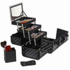 SHANY Premier Fantasy Professional Makeup Train Case Cosmetic Box Portable Make up Case Organizer Jewelry storage with L