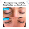 Silly George Eyelash Growth Serum for Thicker Fuller Longer Bold Eyebrows Premium Serum Lashes Brows Enhancer 3ml 01 Fl