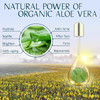 Under Eye Patches 60PCS Aloe Vera Collagen Eye Mask Eye Patches for Puffy Eyes AntiAging Eye Mask for Puffiness Under Ey