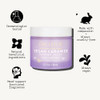 Pacifica Face Cream Vegan Ceramide Barrier Cream wNiacinamide Shea Butter Hydrating Daily Face Moisturizer Fragrance Fre