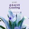 Petitfee Agave Cooling Hydrogel Eye Mask 60ea 30pairs Quick Calming Eye Patches with Blue Energy Complex Agave Blueberry