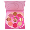 Coastal Scents Blush and Bronzer Palette PL080
