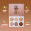 Juvias Place Palette The Sweet Pinks Deep Fuchsia Soft Sweet Pink Shades of 6 Pressed Pigments Palette Professional Make