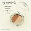 Lauren Brooke Cosmetiques Pressed Eyeshadow Duos Natural Organic Makeup CappuccinoPearl