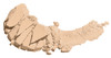wet n wild Color Icon Eyeshadow UltraPigmented Vitamin E Infused for a SilkySmooth Moisturizing Application CrueltyFree