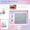 JIMIRE HELLO BEAUTY Multipack High Drama 615 Eyelashes Manga Anime Lashes 5 Pairs Pack