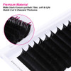 Volume Lash Extensions 820mm Easy Fan Lashes 2D10D FADLASH Volume Eyelash Extensions CDDD Curl 005 007mm Self Fanning La