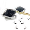Premade Fans Eyelashes Loose Lashes Premade 10D FanCCurlThickness 007 mmEyelash Extension Volume Lash Fans 300Fans 10