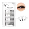 12rows120pcs 10D Premade Volume Fans Eye Lashes Extensions Thickness 007mm D Curl Black Soft Individual False Eyelashes