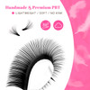 TDANCE Easy Fan Lash Extension Rapid Blooming Volume Eyelash Extensions C CC D DD J B L Curl 003012mm Thickness Easy Fan