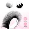 TDANCE Classic Lash Extensions Flat Lashes Eyelash Extensions 015mm D Curl Ellipse Eyelash Extensions 815mm Mixed Black