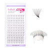 Premade Fans Volume Lash Extensions C D Curl Mix Tray 814mm 07 6D Handmade Pre made Fanned Russian Cluster Eyelashes by