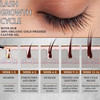 Organic Cold Pressed Castor Oil USDA Certified Eyelash and Hair Growth Serum HexaneFree Conditions and Stimulates Growth