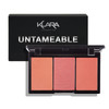 Klara Cosmetics Contour Bronze Blush and Highlight Palette Matte and Shimmer Face Makeup Palette Untameable 035 oz