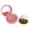 Bourjois Blush for Women 95 Rose de Jaspe 008 Ounce