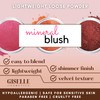 Giselle Cosmetics Red Hawaii Matte Blush Makeup Mineral Makeup Pure Talc Free Minerals Matte Loose Face Makeup Powder Bl