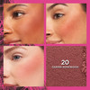 LOreal Paris Infallible Up to 24H Fresh Wear Soft Matte Blush Blendable LongLasting and Waterproof Cheek Make Up Daring