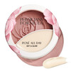 Physicians Formula Rosé All Day Set & Glow Highlighter Face Makeup Powder Brightening Rose, Dermatologist Approved online at globaldelivered