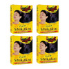 Shikakai Powder 35oz 100g Hesh Pharma Pack of 4
