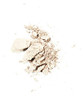 Moms Secret Natural Translucent Setting Powder 70 Organic Vegan Gluten Free Cruelty Free Made in the USA 042 oz Sheer Li