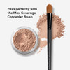 bareMinerals Loose Powder Concealer SPF 20 Deep Bisque Vegan CrueltyFree DermatologistTested