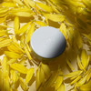 Ere Perez Natural Arnica AllCover Pot Concealer MedFull Coverage Satin Finish Calming Nourishing Vegan CrueltyFree Clean