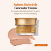 SKINFOOD Salmon Dark Circle Concealer Cream Under Eye Concealer for Dark Spots and Wrinkles Full Coverage Stocking Stuff