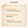 SKINFOOD Salmon Dark Circle Concealer Cream Under Eye Concealer for Dark Spots and Wrinkles Full Coverage Stocking Stuff