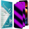 Slanku [2 Pack Privacy Screen Protector for iPhone 16, Anti-Blue Light Temered Glass, Eye Protection, Anti-Spy, Colorful Gradient Purple online at globaldelivered