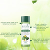 Biotique Bio Cucumber Pore Tightening Toner with Himalayan Waters for Normal to Oily Skin 120 ML 406FlOz I Help from Har