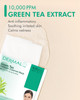 DERMAL Green Tea Collagen Essence Facial Mask Sheet 23g Pack of 10 Hydrating and Soothing for Sensitive Oily Skin Revita