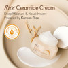 The Face Shop Rice Ceramide Cream Hydrating Face Moisturizer for Dry Combination Skin Lightweight Fastabsorbing 169 fl o