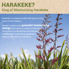 the SAEM Urban ECO Harakeke Essence 55ml