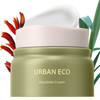 THESAEM Urban Eco Harakeke Cream 169oz Vegan Face Moisturizer with Harakeke Extracts and Hyaluronic Acid Soft Melting Te