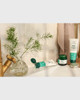 The Body Shop Skin Clearing Tea Tree Clay Mask For Oil Blemished Skin Vegan25 Fl Oz