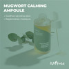ISNTREE Mugwort calming Ampoule 50ml 169 floz Soothes sensitive skin Replenishes moisture