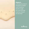 ISNTREE Mugwort calming Ampoule 50ml 169 floz Soothes sensitive skin Replenishes moisture