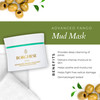 Borghese Advanced Fango Delicato Mud Mask Hydrating Face Mask with Kaolin Clay Aloe Hydrolyzed Collagen Hyaluronic Acid