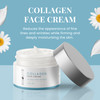 Bisou Skincare Collagen Face Neck Cream Antiaging Day Night Moisturizer with Hyaluronic Acid Reduces Fine Lines and Wrin
