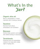 DHC Olive Virgin Oil Essential Cream Moisturizer Hydrating Promotes Skin Elasticity Radiant Fragrance and Colorant Free