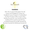 Bee Naturals Queen Bee Facial SerumAntioxidantRich with Organic Tamanu Oil Beta Carotene Rose Absolute AntiAging Hydrati
