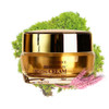 Deoproce Premium Snail Revital Premium Cream Snail Secretion Filtrate Korean Skin Care wGalactomyces Ferment Filtrate Vo
