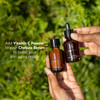 True Botanicals Vitamin C Booster Powder Treats Dark Spots Visibly Brightens wFerulic Acid Supercharge Any SerumMoisturi