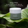 emergin C Scientific Organics Phytocell Detox Mask Hydrating Facial Mask with French Green Clay Seaweed Plant Stem Cells