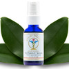 Ayur Medic HiPotenC Serum Vitamin C Serum for Face With Stable Vitamin C Tertrahexyldecyl Ascorbate Neossance Squalane V