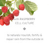 Kerstin Florian Clarifying BerryPlus Repair Serum AntiAging Protective Facial Serum for All Skin Types 1 fl oz