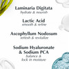 Repechage HydroComplex PFS Hydrating Face Cream for Oily Combination Skin NonComedogenic Moisturizer with Seaweed Extrac