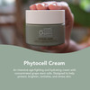 emerginC Scientific Organics Phytocell AntiAging Cream Facial Moisturizer with Plant Stem Cells for Radiant Complexion a